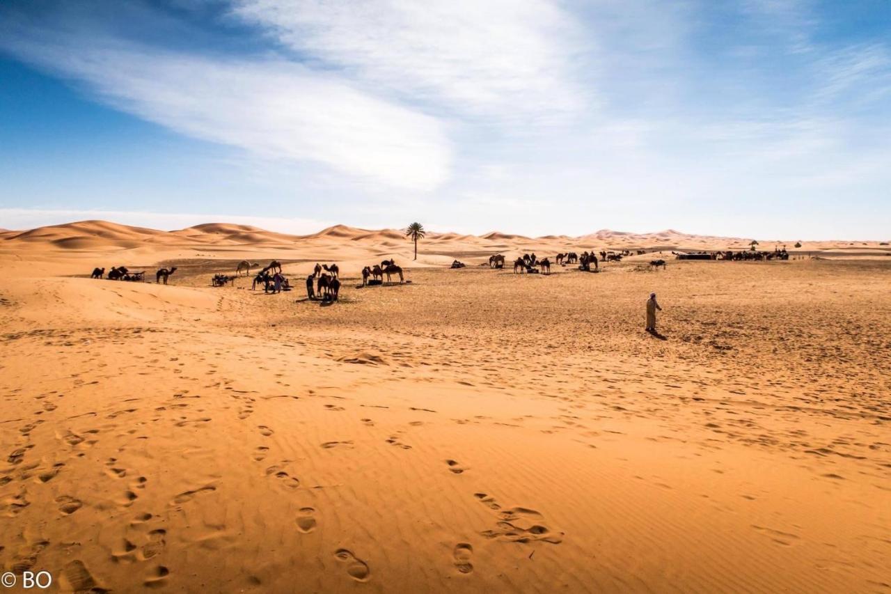 Sahara Wellness Camp Bed & Breakfast Merzouga Ngoại thất bức ảnh